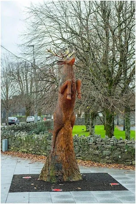 Chapel Place, Town Centre Killarney